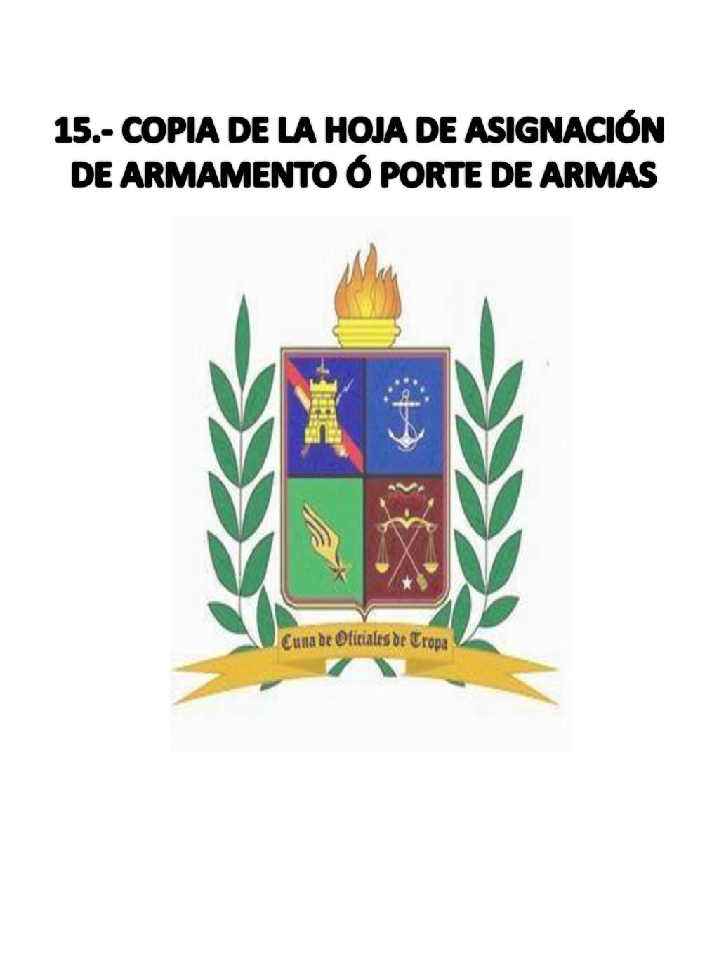 15.- COPIA DE LA HOJA DE ASIGNACIÓN DE ARMAMENTO Ó PORTE DE ARMAS