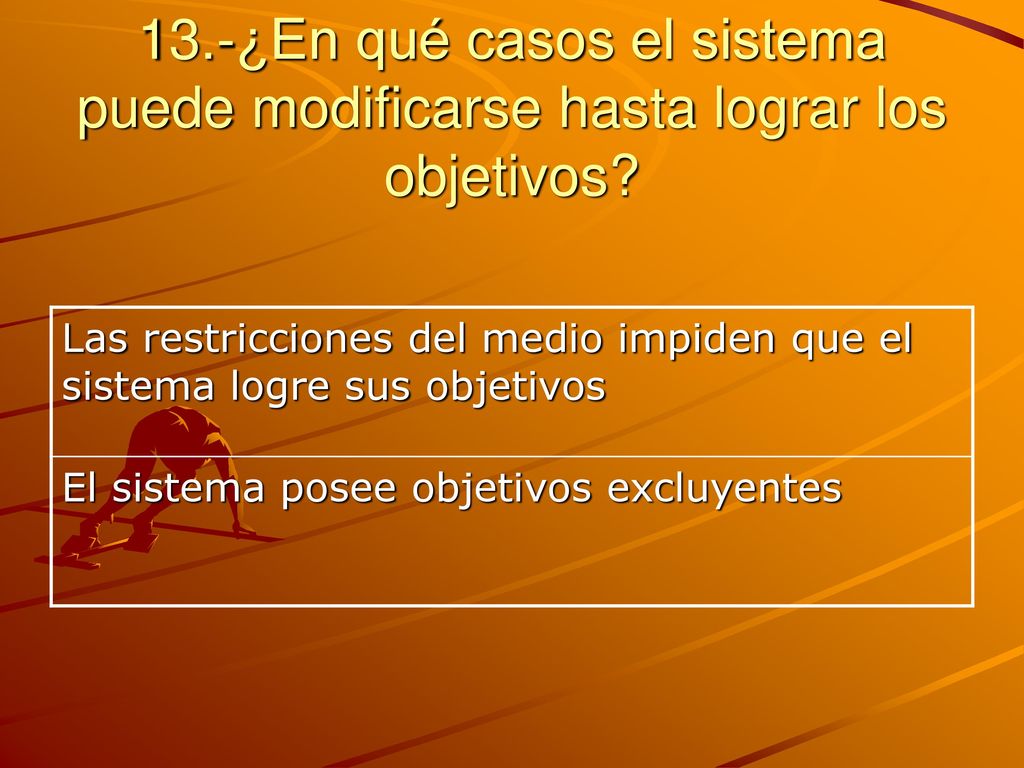 13.-¿En qué casos el sistema puede modificarse hasta lograr los objetivos