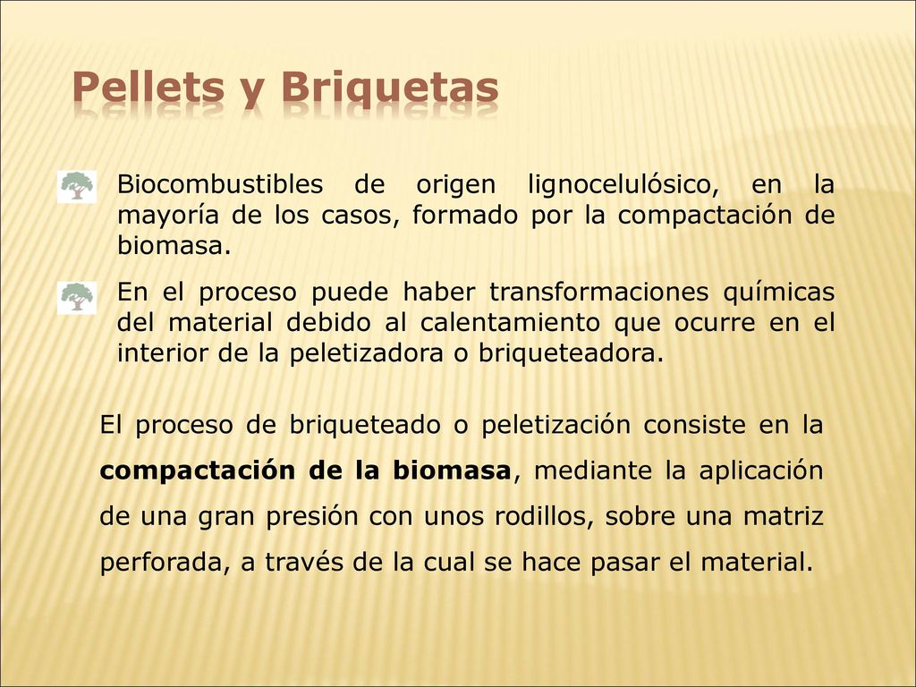 Pellets y Briquetas Biocombustibles de origen lignocelulósico, en la mayoría de los casos, formado por la compactación de biomasa.