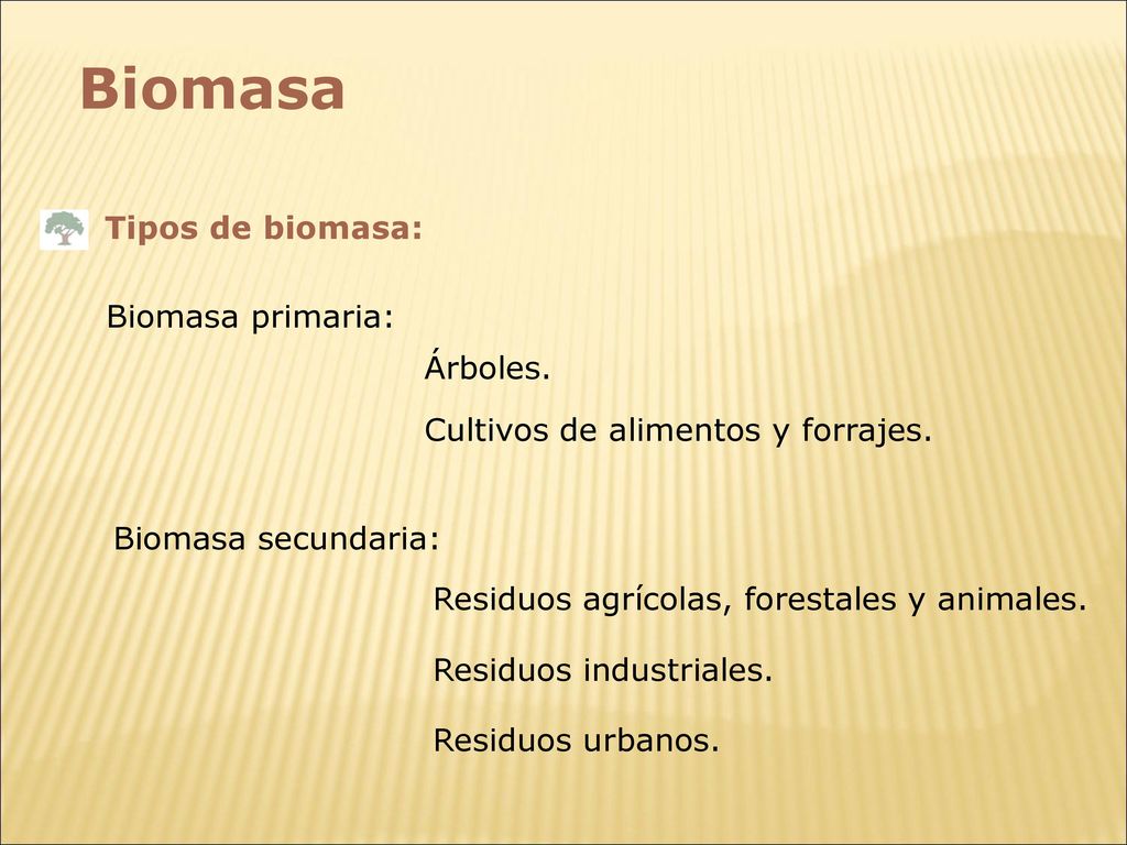 Biomasa Tipos de biomasa: Biomasa primaria: Árboles.