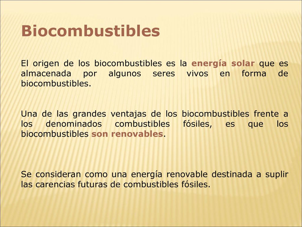 Biocombustibles El origen de los biocombustibles es la energía solar que es almacenada por algunos seres vivos en forma de biocombustibles.