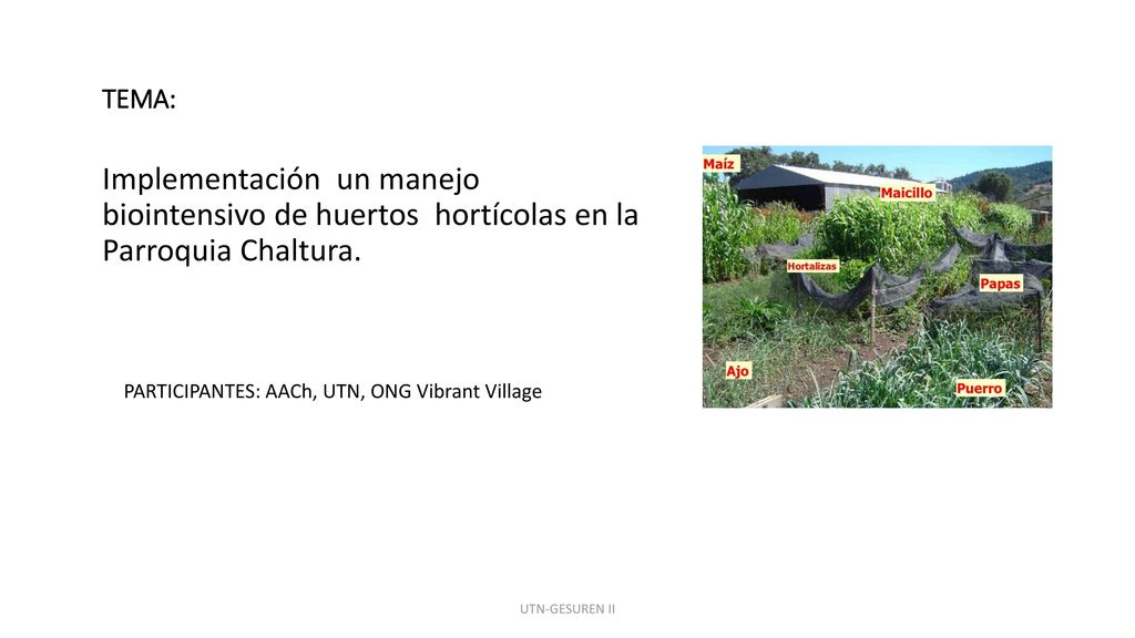 TEMA: Implementación un manejo biointensivo de huertos hortícolas en la Parroquia Chaltura. PARTICIPANTES: AACh, UTN, ONG Vibrant Village.