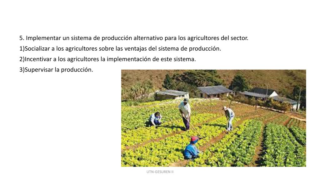 5. Implementar un sistema de producción alternativo para los agricultores del sector. 1)Socializar a los agricultores sobre las ventajas del sistema de producción. 2)Incentivar a los agricultores la implementación de este sistema. 3)Supervisar la producción.