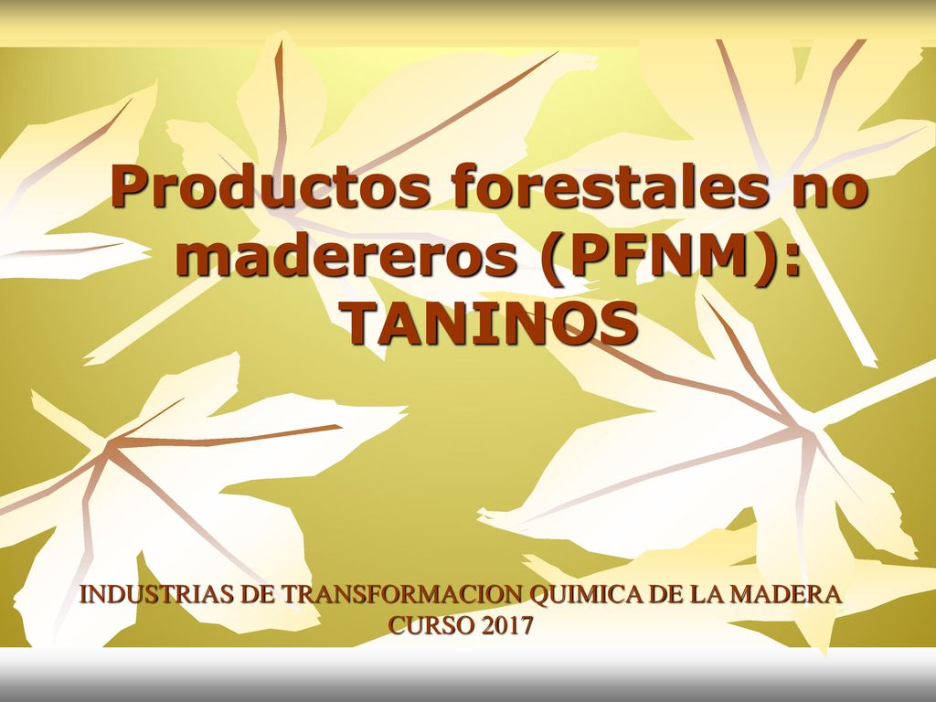 Productos forestales no madereros (PFNM): TANINOS