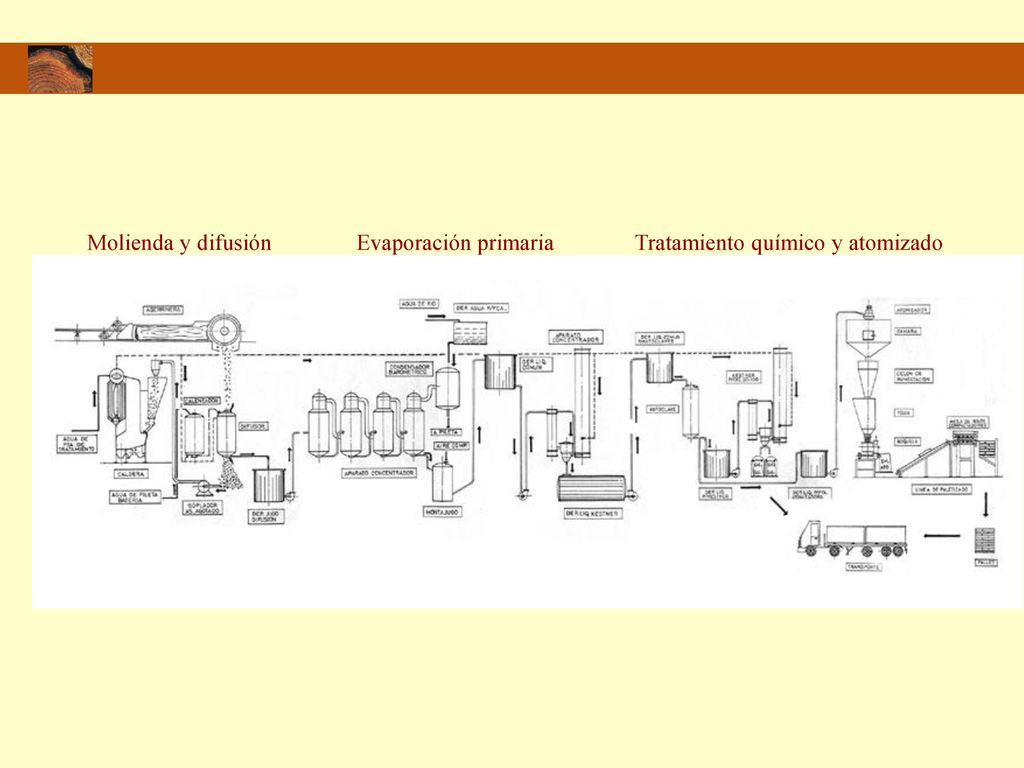 Molienda y difusión Evaporación primaria Tratamiento químico y atomizado
