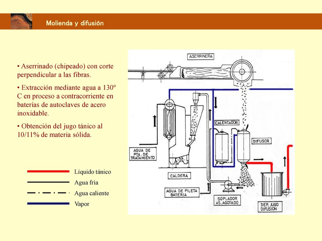 Molienda y difusión • Aserrinado (chipeado) con corte perpendicular a las fibras.