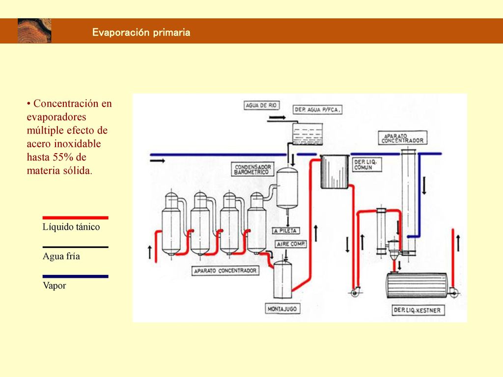 Evaporación primaria • Concentración en evaporadores múltiple efecto de acero inoxidable hasta 55% de materia sólida.