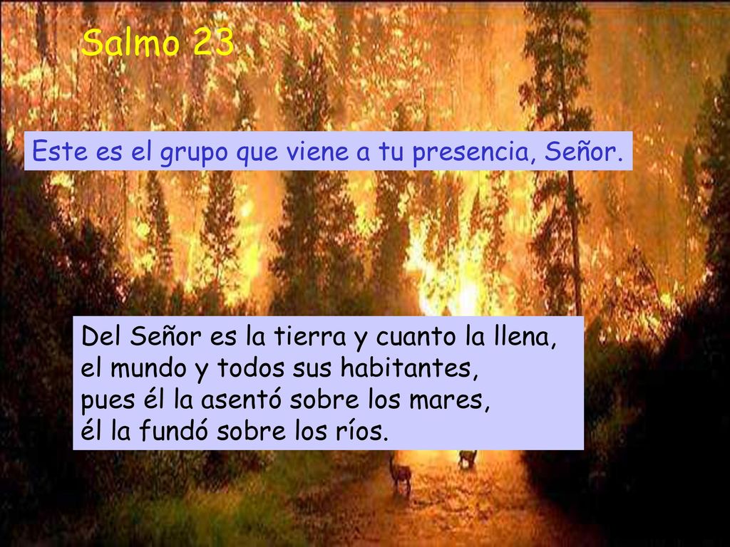 Salmo 23 Este es el grupo que viene a tu presencia, Señor.