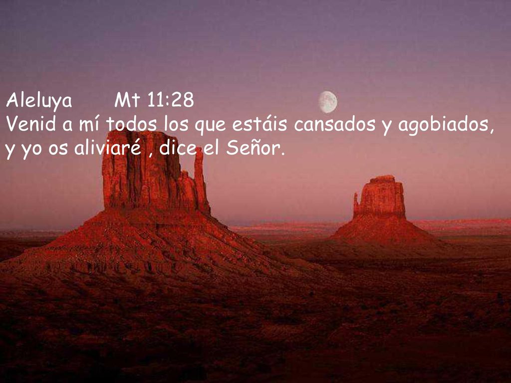 Aleluya Mt 11:28 Venid a mí todos los que estáis cansados y agobiados, y yo os aliviaré , dice el Señor.