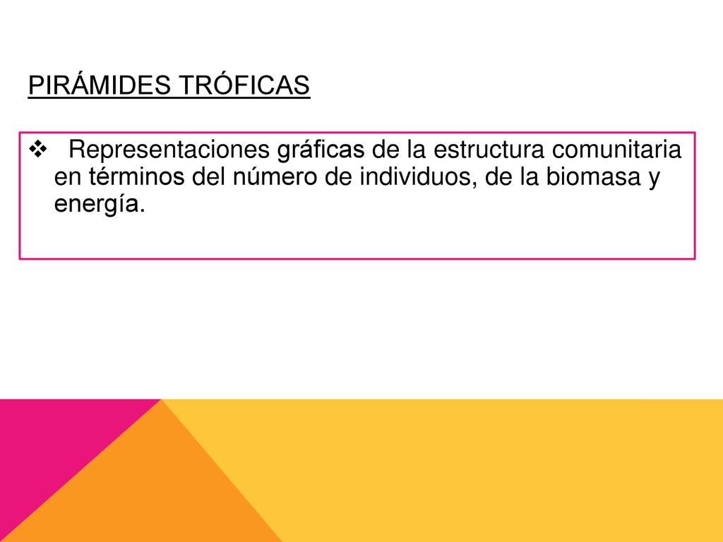 Pirámides tróficas Representaciones gráficas de la estructura comunitaria en términos del número de individuos, de la biomasa y energía.