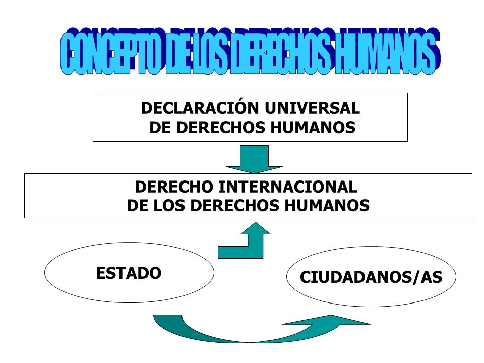 DECLARACIÓN UNIVERSAL DERECHO INTERNACIONAL DE LOS DERECHOS HUMANOS