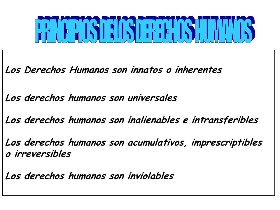 PRINCIPIOS DE LOS DERECHOS HUMANOS