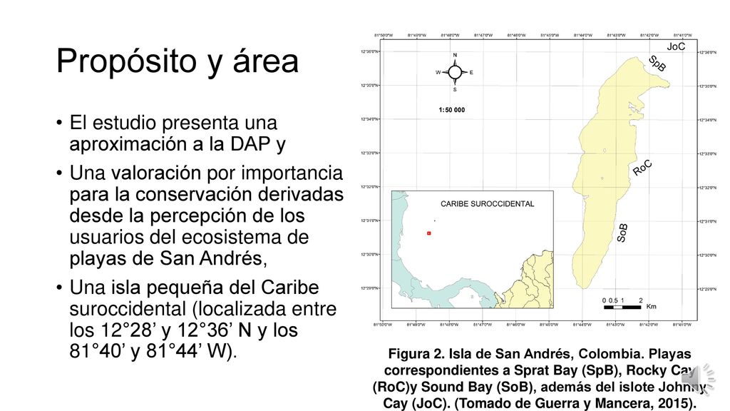 Propósito y área El estudio presenta una aproximación a la DAP y