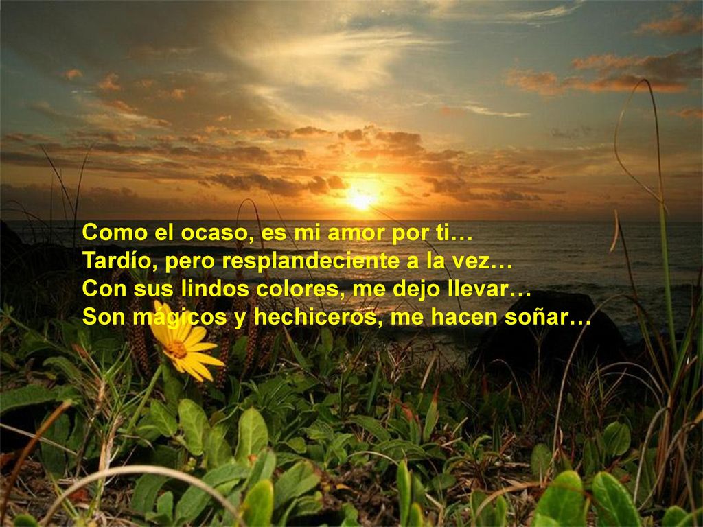 Como el ocaso, es mi amor por ti…