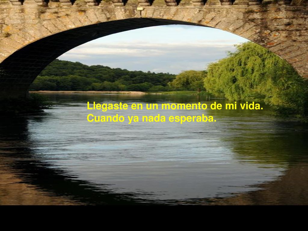 Llegaste en un momento de mi vida. Cuando ya nada esperaba.