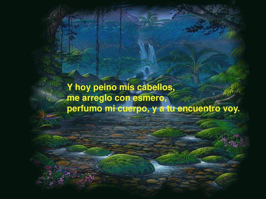 Y hoy peino mis cabellos, me arreglo con esmero, perfumo mi cuerpo, y a tu encuentro voy.
