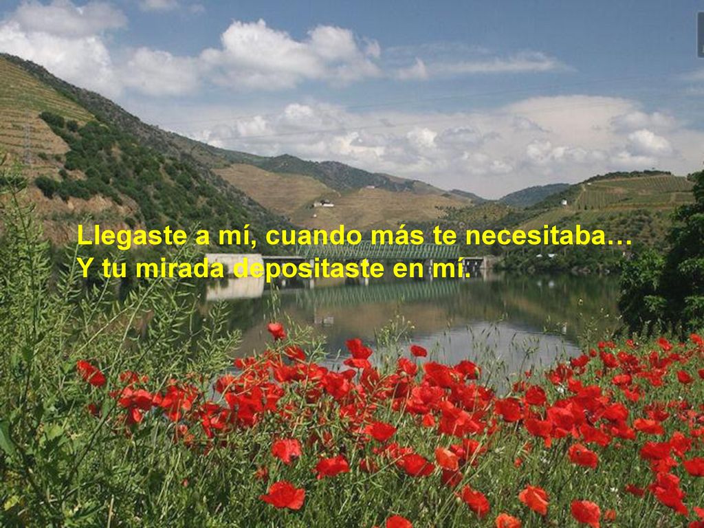 Llegaste a mí, cuando más te necesitaba… Y tu mirada depositaste en mí.
