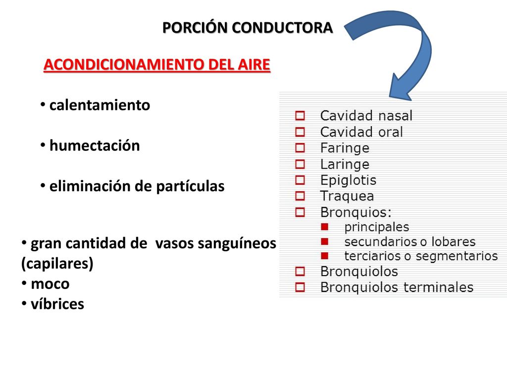 PORCIÓN CONDUCTORA ACONDICIONAMIENTO DEL AIRE. calentamiento. humectación. eliminación de partículas.