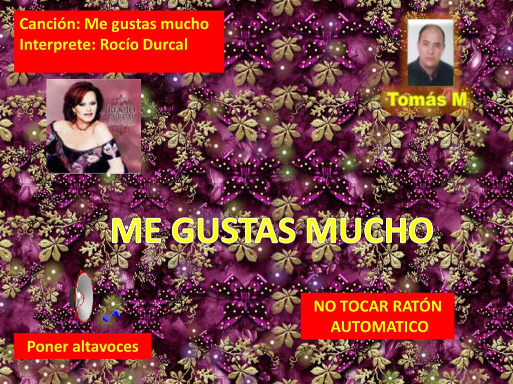 ME GUSTAS MUCHO Canción: Me gustas mucho Interprete: Rocío Durcal