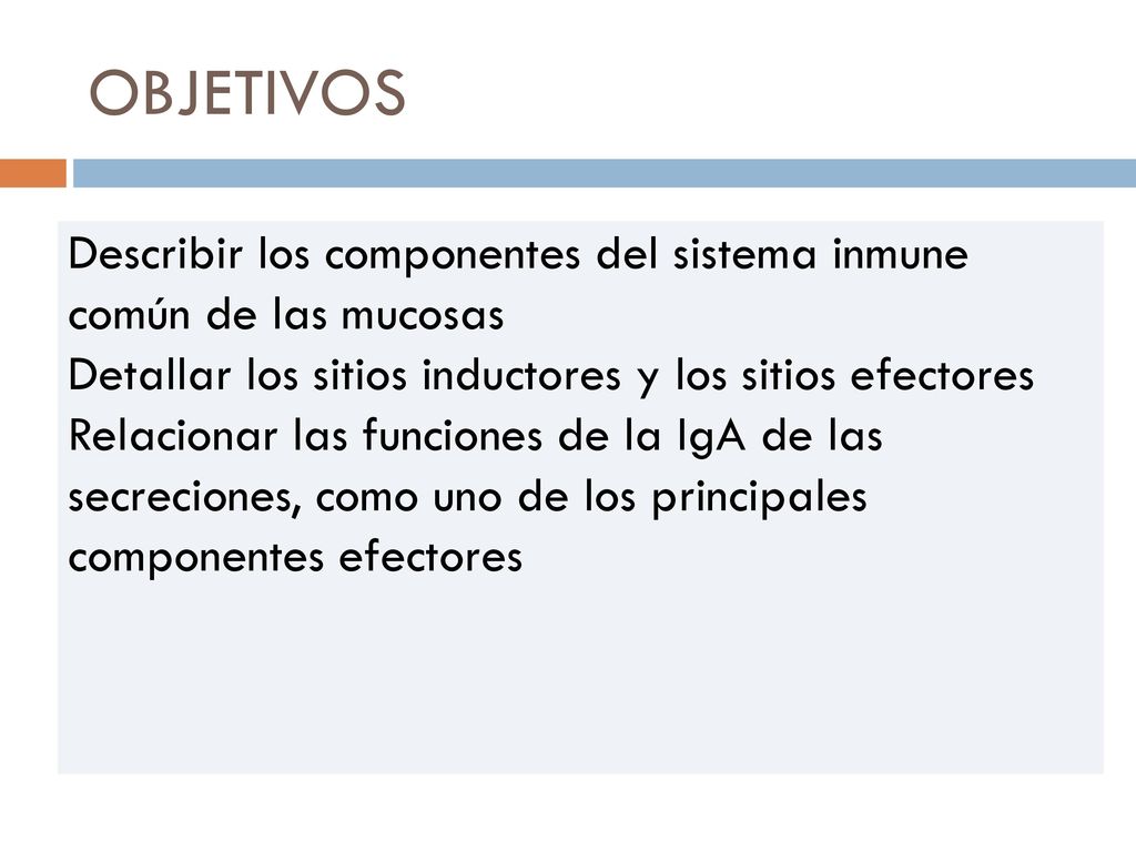 OBJETIVOS Describir los componentes del sistema inmune común de las mucosas. Detallar los sitios inductores y los sitios efectores.
