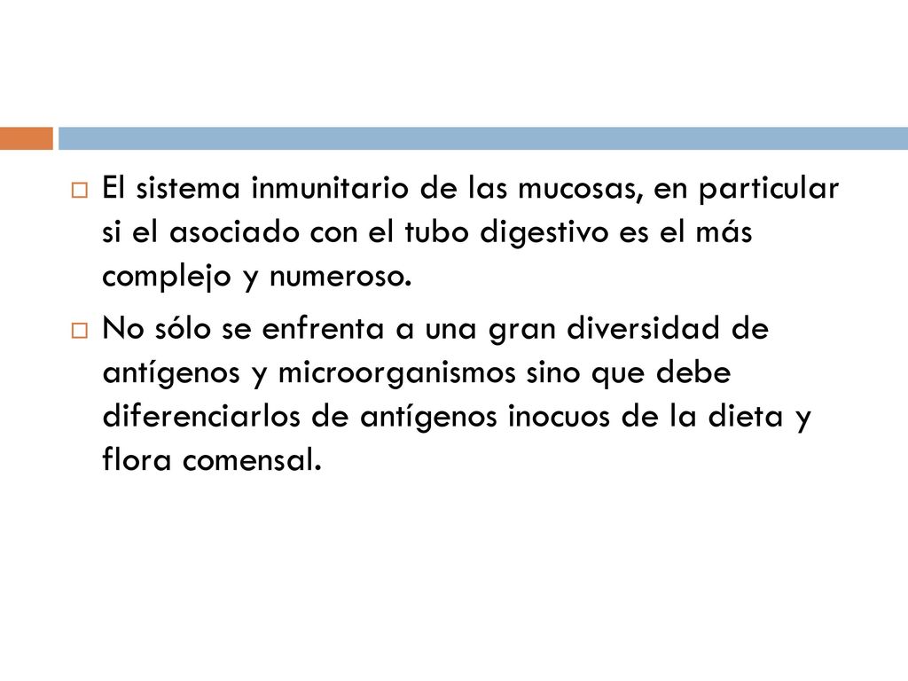 El sistema inmunitario de las mucosas, en particular si el asociado con el tubo digestivo es el más complejo y numeroso.
