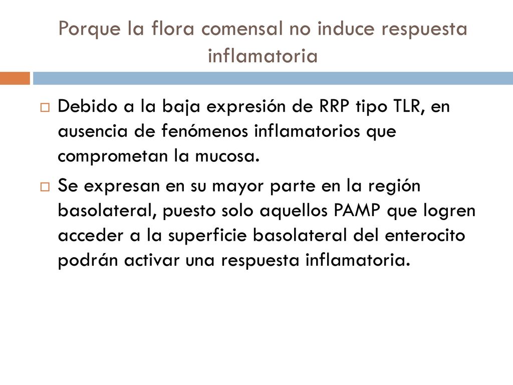 Porque la flora comensal no induce respuesta inflamatoria