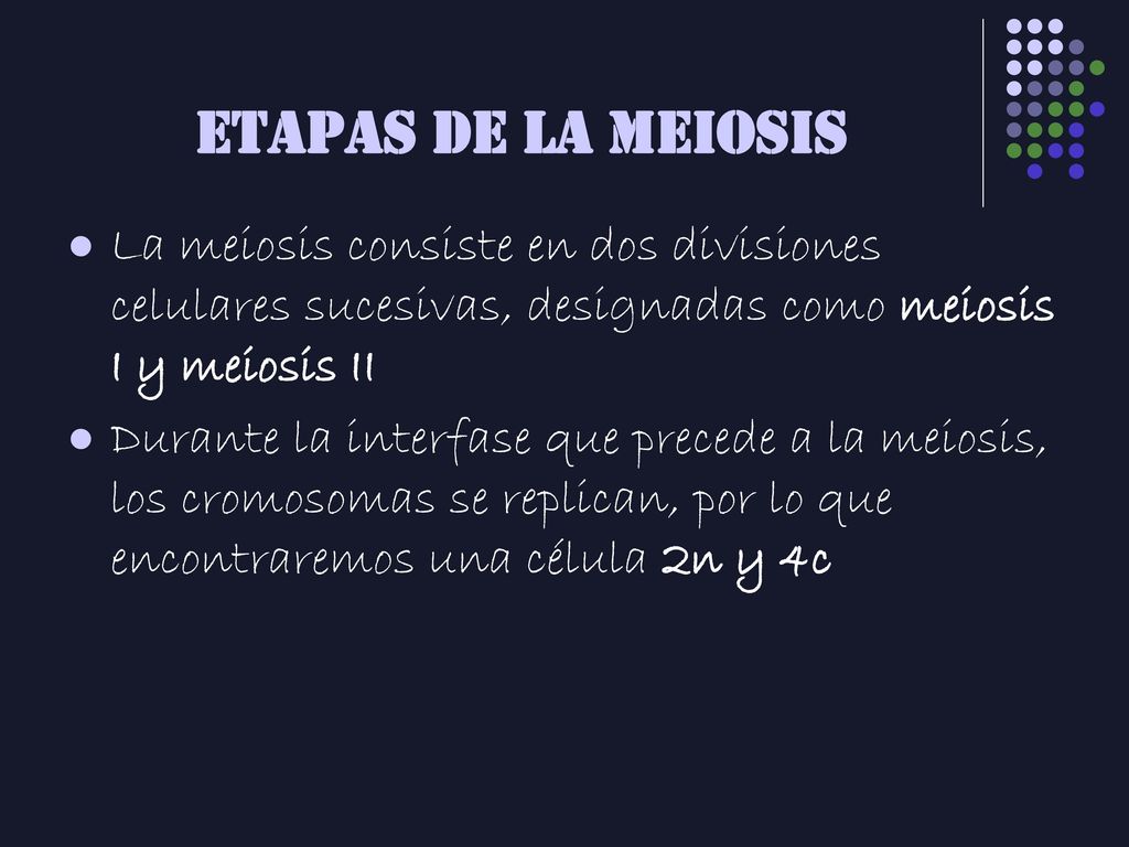 ETAPAS DE LA MEIOSIS La meiosis consiste en dos divisiones celulares sucesivas, designadas como meiosis I y meiosis II.