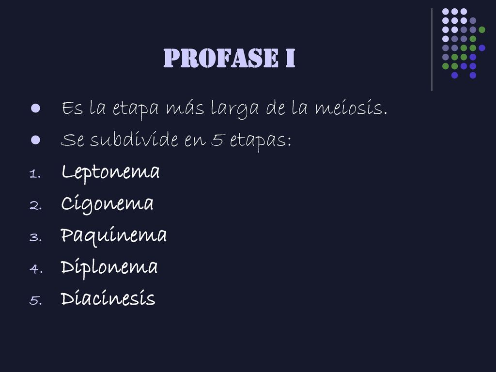 PROFASE I Es la etapa más larga de la meiosis.