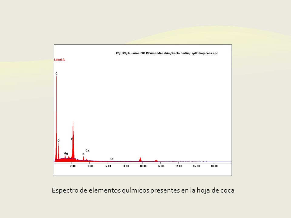 Espectro de elementos químicos presentes en la hoja de coca