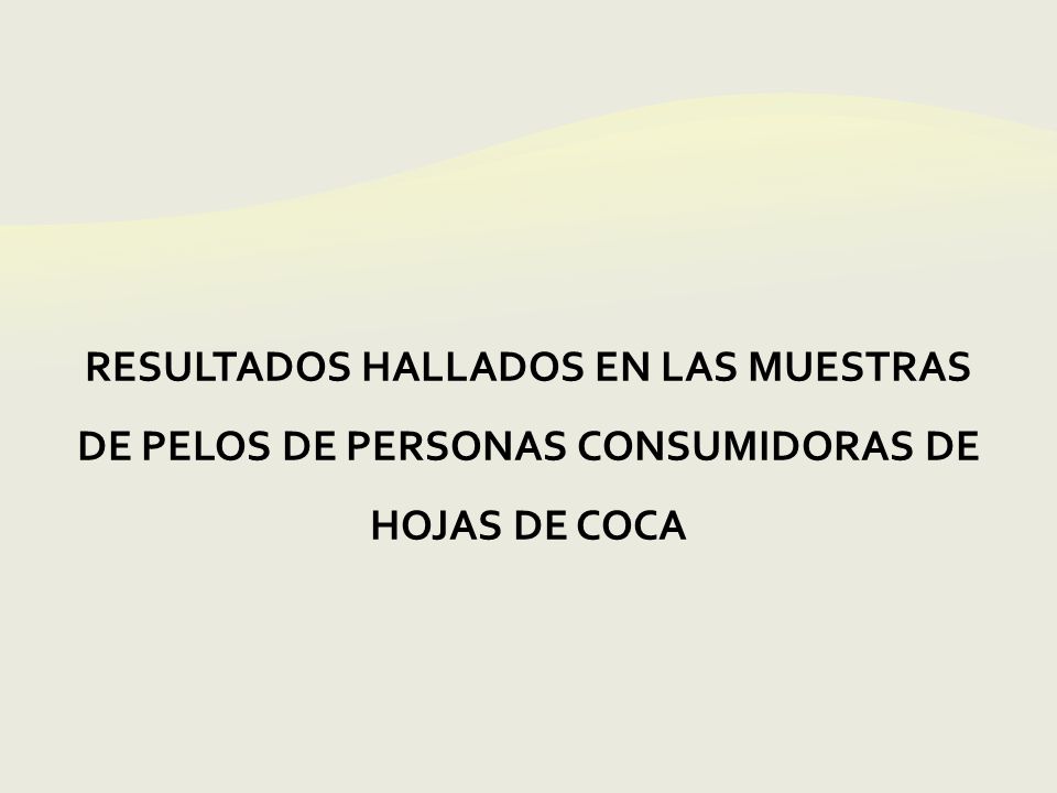 RESULTADOS HALLADOS EN LAS MUESTRAS DE PELOS DE PERSONAS CONSUMIDORAS DE HOJAS DE COCA