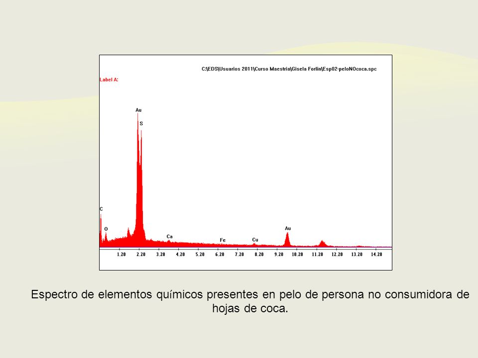Espectro de elementos químicos presentes en pelo de persona no consumidora de hojas de coca.