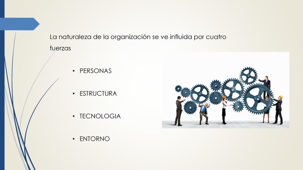 La naturaleza de la organización se ve influida por cuatro fuerzas