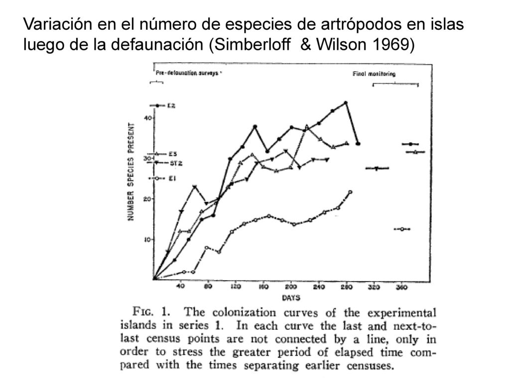 Variación en el número de especies de artrópodos en islas luego de la defaunación (Simberloff & Wilson 1969)