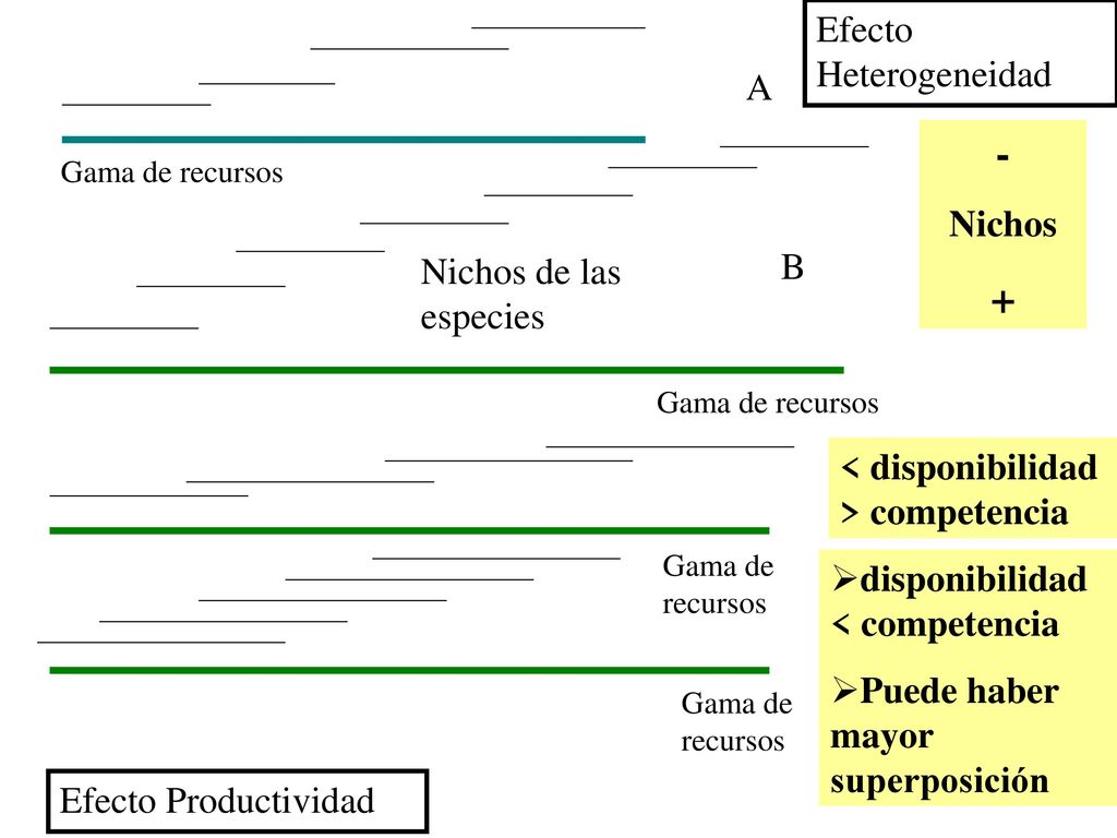 - + Efecto Heterogeneidad A Nichos B Nichos de las especies