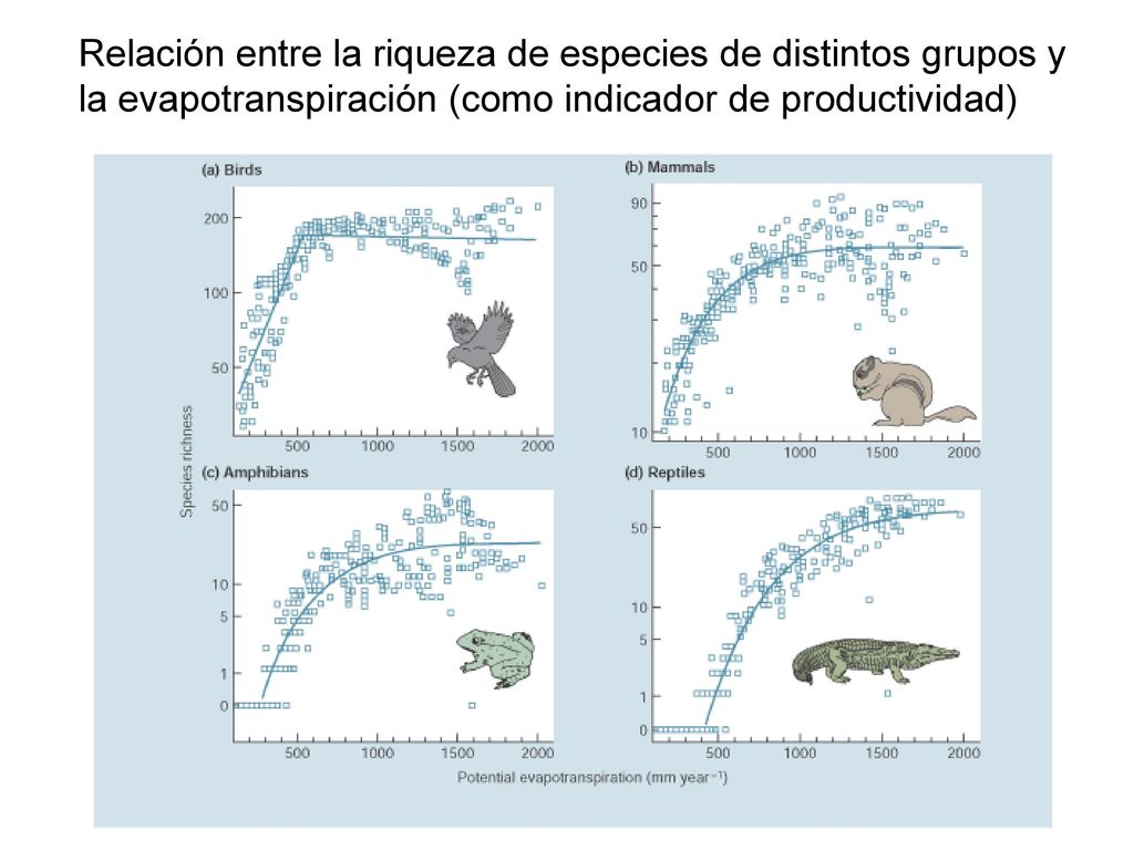 Relación entre la riqueza de especies de distintos grupos y la evapotranspiración (como indicador de productividad)