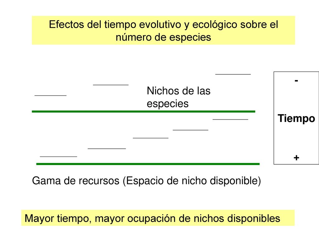 Efectos del tiempo evolutivo y ecológico sobre el número de especies