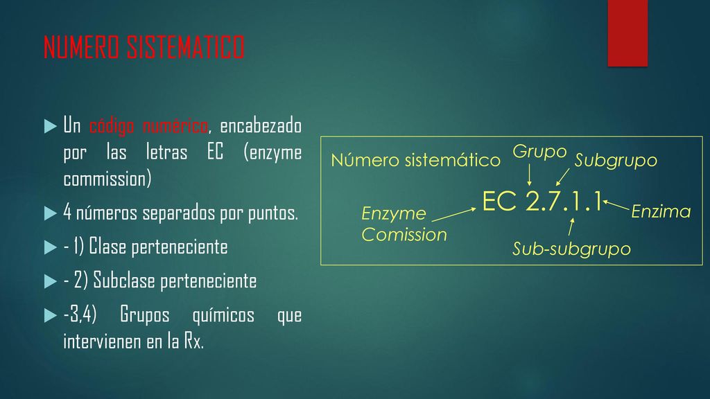 NUMERO SISTEMATICO Un código numérico, encabezado por las letras EC (enzyme commission) 4 números separados por puntos.
