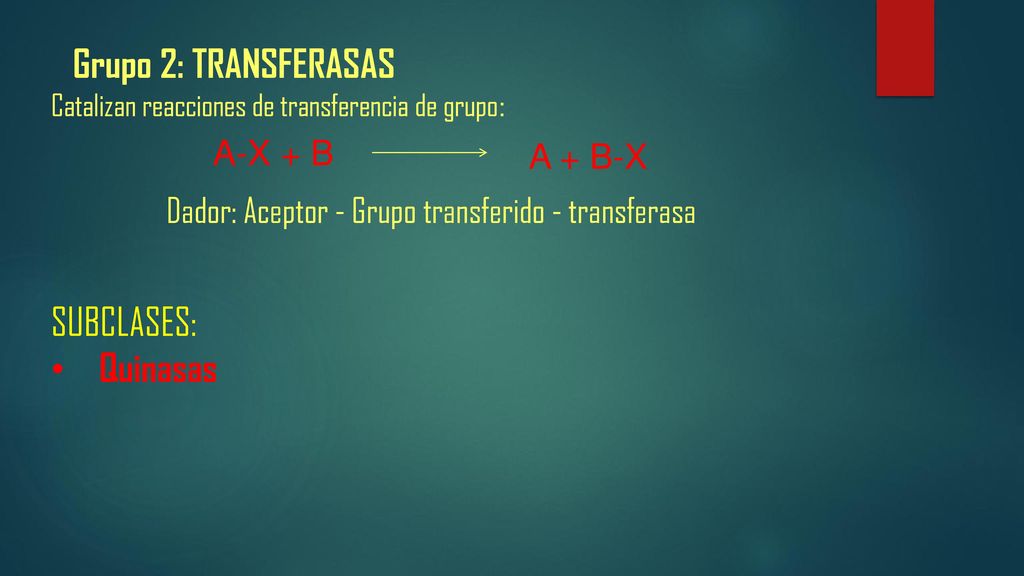 Grupo 2: TRANSFERASAS SUBCLASES: Quinasas A-X + B A + B-X