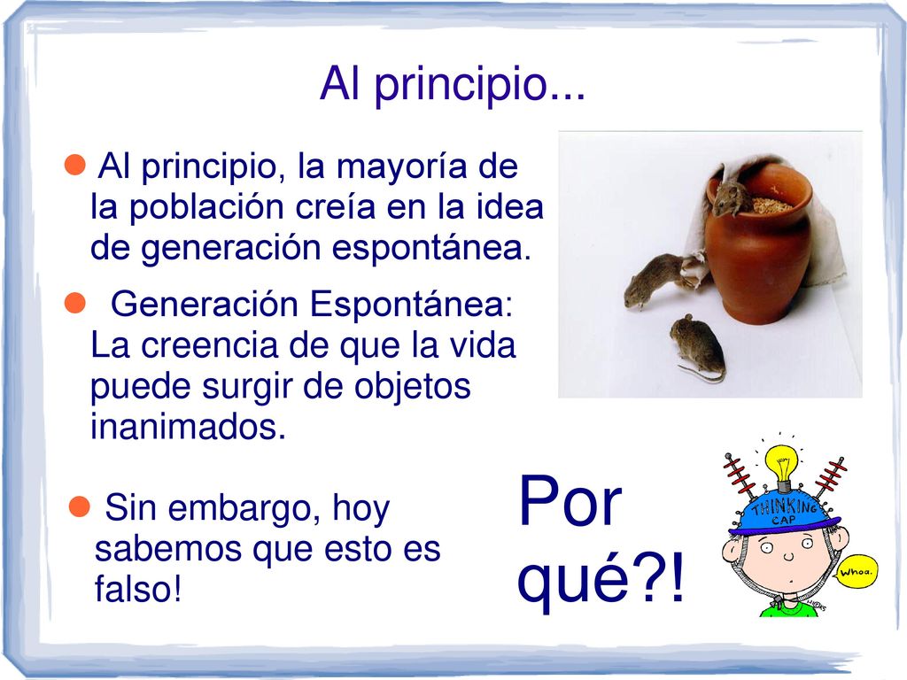 Al principio... Al principio, la mayoría de la población creía en la idea de generación espontánea.