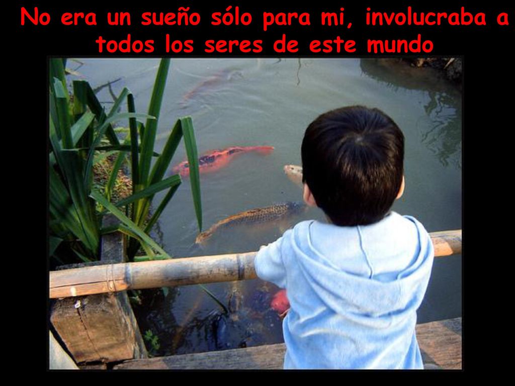 No era un sueño sólo para mi, involucraba a todos los seres de este mundo