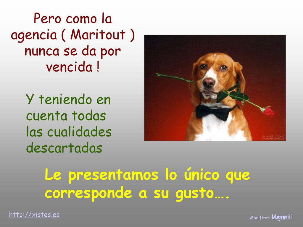 Pero como la agencia ( Maritout ) nunca se da por vencida !