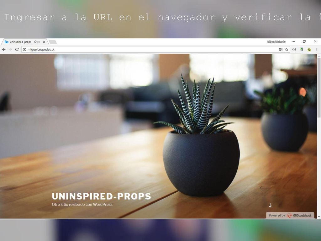 Ingresar a la URL en el navegador y verificar la instalación.