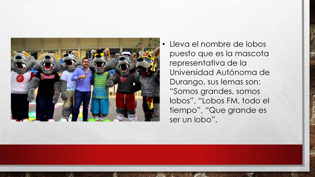 Lleva el nombre de lobos puesto que es la mascota representativa de la Universidad Autónoma de Durango, sus lemas son: Somos grandes, somos lobos , Lobos FM, todo el tiempo , Que grande es ser un lobo .