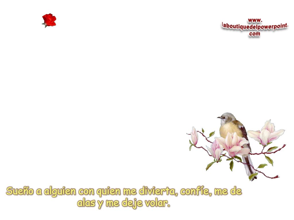 Sueño a alguien con quien me divierta, confíe, me de alas y me deje volar.