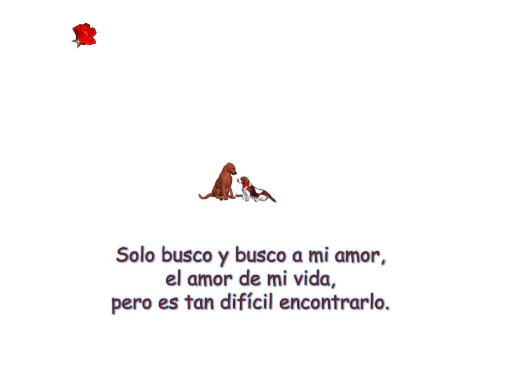Solo busco y busco a mi amor, el amor de mi vida,