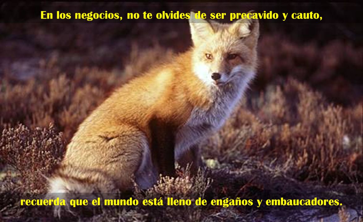 En los negocios, no te olvides de ser precavido y cauto,