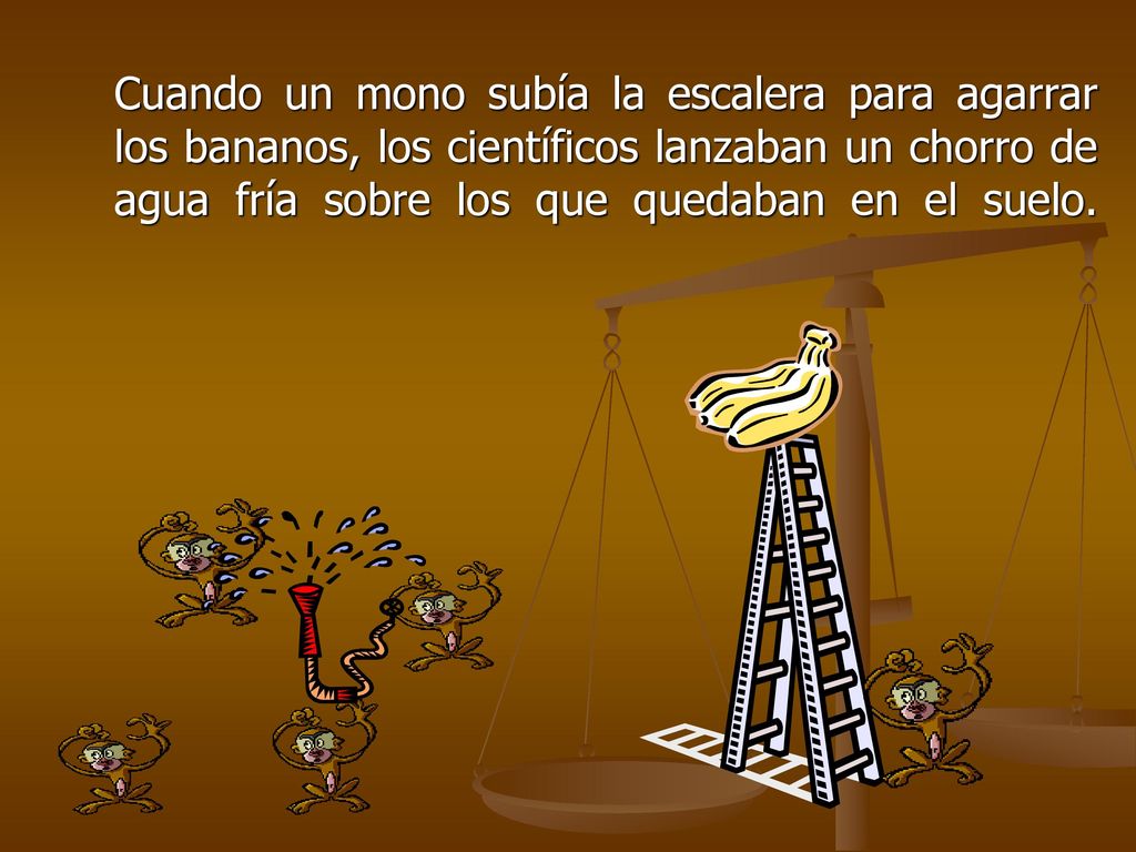 Cuando un mono subía la escalera para agarrar los bananos, los científicos lanzaban un chorro de agua fría sobre los que quedaban en el suelo.