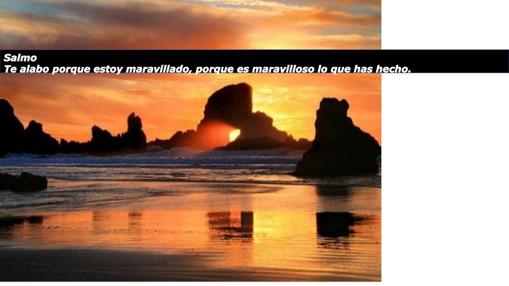 Salmo Te alabo porque estoy maravillado, porque es maravilloso lo que has hecho.