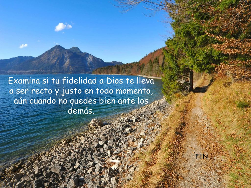Examina si tu fidelidad a Dios te lleva a ser recto y justo en todo momento, aún cuando no quedes bien ante los demás.