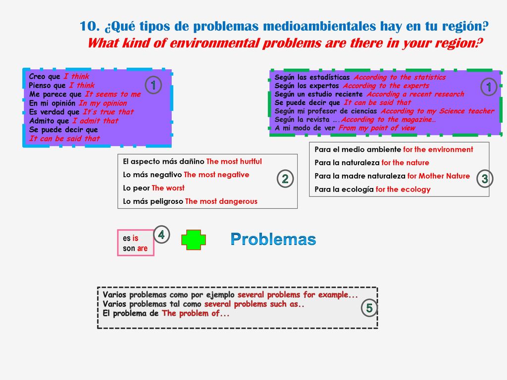 10. ¿Qué tipos de problemas medioambientales hay en tu región